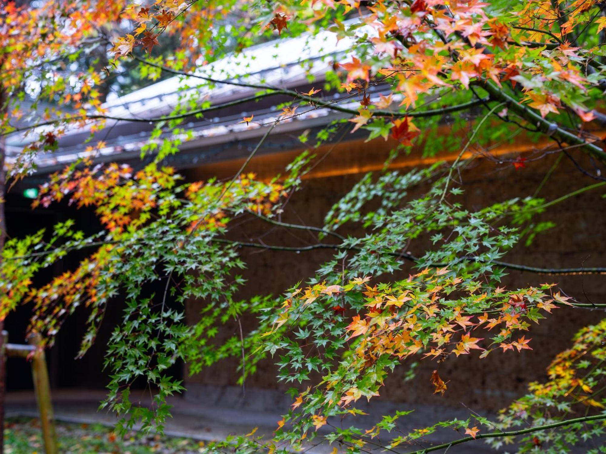 Nikko Nishimachi Club Hotel ภายนอก รูปภาพ